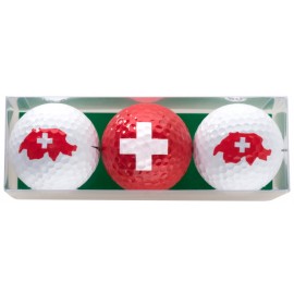 motivo Suiza